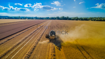 Combine Farm Harvest In The Summer
