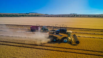 Combine Farm Harvest In The Summer
