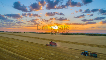 Summer Sunset Harvest