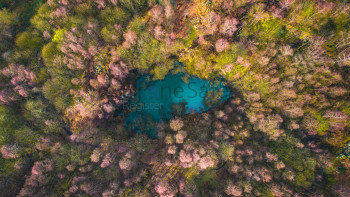 HIdden Pond from a birds eye view