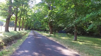 Little Dipper Skyshots