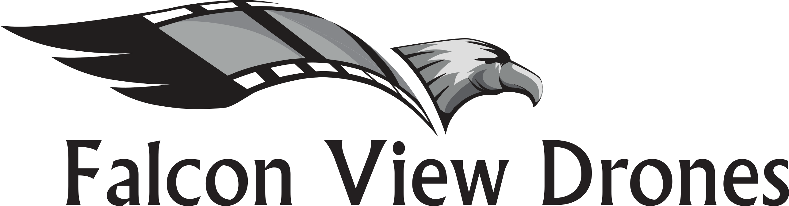 Falcon View Drones